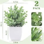 Der Rose 2 Pack Small Fake Plants Mini Artificial Potted Plants for Table Desk Home Laundry Room Bathroom Office Decor - Image 3