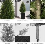 4FT Tall 2 Set Artificial Topiary Cedar Tree, Indoor Realistic Faux Cypress Plants with Square Flowerpot, Outdoor Evergreen Fake Shrubs for Home Living Room Front Porch Decor - Image 3