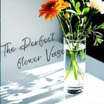 5pcs Glass Vase Cylinder Vases for Centerpieces Small Flower Glass Vases Home Decor Centerpiece Table Clear Flower Vase Decorations for Wedding＆Holiday 4,6,7.5,8,10 Inch Tall - Image 4