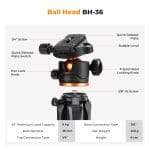 K&F CONCEPT 75 inch/190cm Camera Tripod,Lightweight Travel Outdoor DSLR Tripods with 360 Degree Ball Head Load Capacity 8kg/17.6lbs,Cellphone Clip and Remote Control for Smartphone S255A3+BH-36 - Image 4