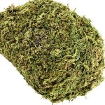 35 OZ Fake Moss for Potted Plants Artificial Moss for Fake Plants Faux Moss for Planters Decorative Moss for Craft and Home Decor… - Image 2