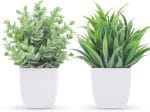 Der Rose 2 Pack Small Fake Plants Mini Artificial Potted Plants for Table Desk Home Laundry Room Bathroom Office Decor - Image 2