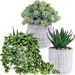 Set of 3 Assorted Small Potted Succulent Plants Fake Aloe String of Pearls Hops Succulents in Gray Geometric Concrete Ceramic Pots for Gifts Modern Home Office Desk Table Indoor Outdoor Greenery Decor - Image 2