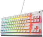SteelSeries Apex 3 TKL White RGB Gaming Keyboard — Tenkeyless Compact Form Factor — 8-Zone RGB Illumination — Water and Dust Resistant — Whisper-Quiet Gaming Switch - Image 2