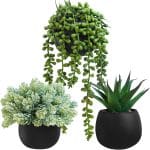 Winlyn Set of 3 Artificial Succulent Plants in Black Concrete Pots Faux Aloe Hops String of Pearls Potted Plants Small Fake Plants Desk Plants for Home Office Desk Kitchen Bathroom Shelf Windowsill - Image 2