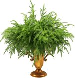 12Pcs Artificial Norfolk Pine Branches 18" Plastic Christmas Plants Decor Faux Greenery Stems Pine Picks Outdoor Faux Plants UV Resistant for Xmas Indoor, Front Porch Home Décor (12, 18inch) - Image 2
