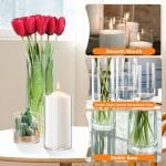 48 Pack Glass Cylinder Vases 4,6,8,10 Inch Tall Clear Flower Vase Hurricane Floating Candle Holder for Table Centerpiece Wedding Home Decor - Image 4