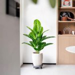 Artificial Plants in Pots Large Fake Tree Floor Faux Tropical Plants Decorative Greenry House Potted Tall for Home Office Living Room Decor Indoor Garden Outdoor (80cm Tropical Banana) - Image 4
