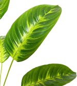 Artificial Plants in Pots Large Fake Tree Floor Faux Tropical Plants Decorative Greenry House Potted Tall for Home Office Living Room Decor Indoor Garden Outdoor (80cm Tropical Banana) - Image 6