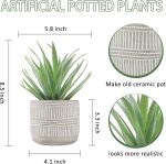 Der Rose Fake Succulents Plants Artificial Succulents in Pots for Room Home Bathroom Bedroom Office Boho Decor - Image 3