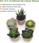 Coitak Artificial Succulent Plants Potted, Assorted Decorative Faux Succulent Potted Fake Cactus Cacti Plants with Pots, Set of 5 - Image 4