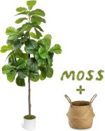 6FT Artificial Fiddle Leaf Fig Tree - Tall Fake Tree with White Planter&Seagrass Basket, Large Faux Ficus Lyrata Tree Floor Plants for Indoor Home Decor Office Living Room Housewarming Gift - Image 2
