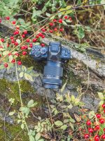 Bundle of OM SYSTEM Olympus E-M10 Mark IV Black Micro Four Thirds System Camera 20MP Sensor 5-Axis Image Stabilization 4K Video Wi-Fi + M.Zuiko Digital 40-150mm F4.0-5.6 R Black, 3.75x Zoom Lens - Image 2