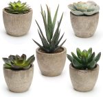 Coitak Artificial Succulent Plants Potted, Assorted Decorative Faux Succulent Potted Fake Cactus Cacti Plants with Pots, Set of 5 - Image 2