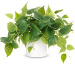JPSOR Faux Plants Indoor, Pothos Small Fake Plants for Home Decor Indoor Fake Potted Plant Artificial Plants for Living Room Shelf Home Office Decor（White Ceramic Pot） - Image 2