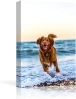 NWT Custom Canvas Prints with Your Photos for Pet/Animal, Personalized Canvas Pictures for Wall to Print Framed 48x32 inches - Image 2