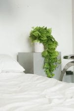 Retrograde 32" Realistic Fake Pothos Ivy Plant for Home Decor Indoor Silk Artificial Plant Large (Light Green) - Image 2