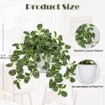 Briful Fake Plants Indoor Artificial Potted Silk Plants Faux Watermelon Peperomia Trailing Vine Plant for Home Office Livingroom Desk Shelf Mantle Decoration(Green/White - 1 Pack) - Image 3
