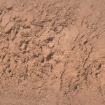 Palladio Brow Powder for Eyebrows, Soft and Natural Eyebrow Powder with Jojoba Oil & Shea Butter, Helps Enhance & Define Brows, Compact Size for Purse or Travel, Includes Applicator Brush, Taupe - Image 3