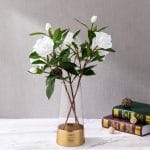 MyGift Glass and Gold Bottom Flower Vases, 10 inch Clear Glass Vases for Table Centerpieces Home Decor - Image 3