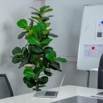 5FT Fiddle Leaf Fig Artificial Tree with White Planter Pot,Faux Floor Plant, Indoor and Outdoor Fake Plants for Home Office Decor - Image 5